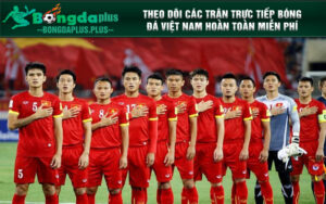 Theo dõi các trận trực tiếp bóng đá Việt Nam hoàn toàn miễn phí