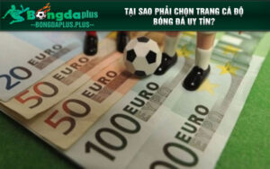 Tại sao phải chọn trang cá độ bóng đá uy tín?