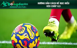Hướng dẫn cách để đọc hiểu kèo chấp 0.5
