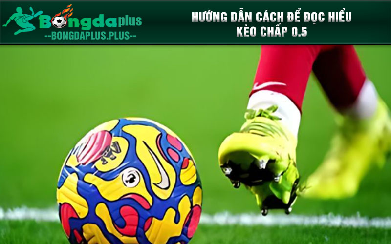 Kèo Chấp 0.5 Là Gì? Giải Mã Bí Mật Kèo Chấp Nửa Trái Hướng dẫn cách để đọc hiểu kèo chấp 0.5