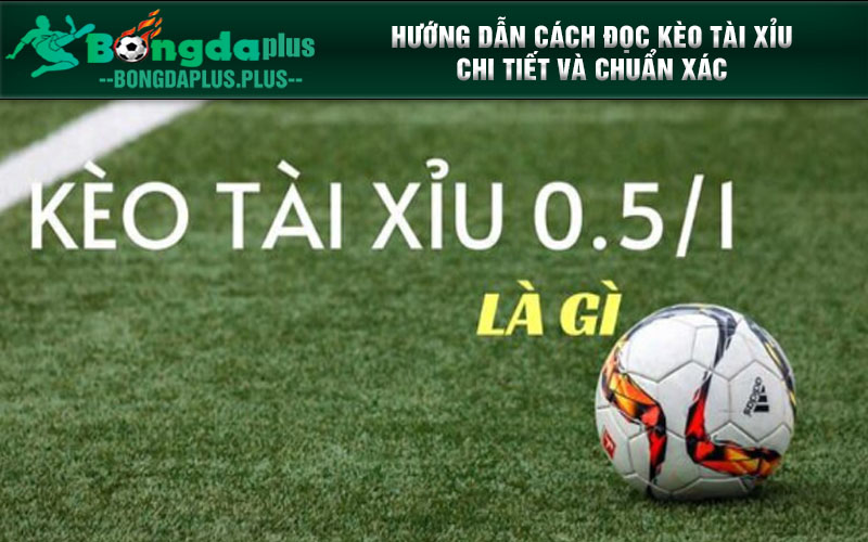 Kèo Tài Xỉu - Lựa Chọn Không Thể Thiếu Cho Đam Mê Cá Cược Hướng dẫn cách đọc kèo Tài Xỉu chi tiết và chuẩn xác