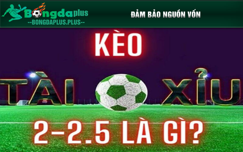 Kèo Tài Xỉu - Lựa Chọn Không Thể Thiếu Cho Đam Mê Cá Cược Đảm bảo nguồn vốn