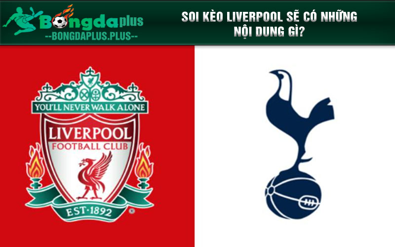 Chia Sẻ Kinh Nghiệm Soi Kèo Liverpool Từ Các Chuyên Gia Soi kèo Liverpool sẽ có những nội dung gì?