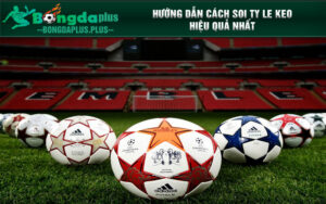 Hướng dẫn cách soi ty le keo hiệu quả nhất