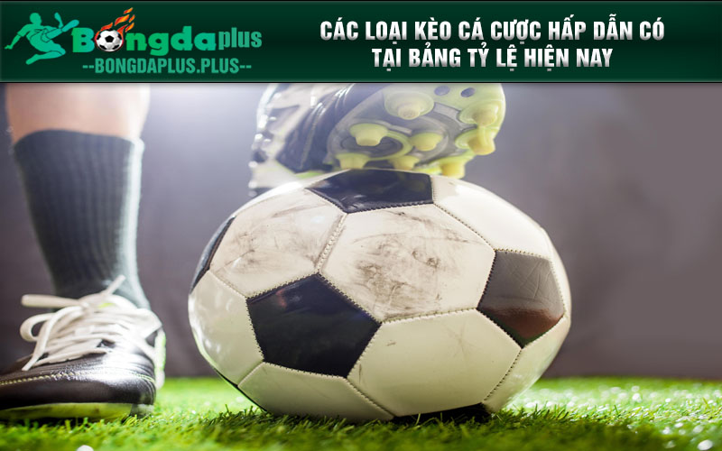 Bảng Ty Le Keo Tại Trang Tylekeoo.Com Thưởng Cực Khủng Các loại kèo cá cược hấp dẫn có tại bảng tỷ lệ hiện nay