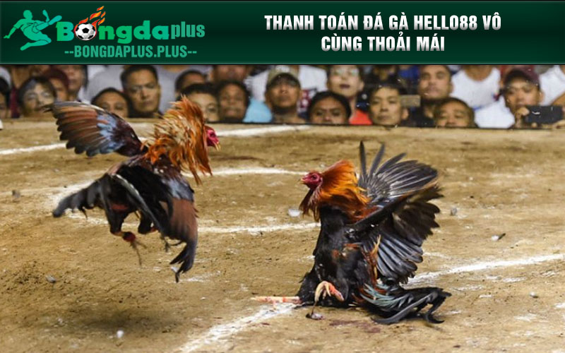 Đá Gà Hello88 – Sân Chơi Huyền Thoại Cho Những Tay Cược Mê Gà Thanh toán đá gà Hello88 vô cùng thoải mái