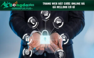 Trang web đặt cược online đá gà Hello88 có gì