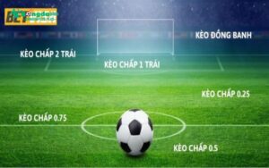 Giới Thiệu Về Betvisa