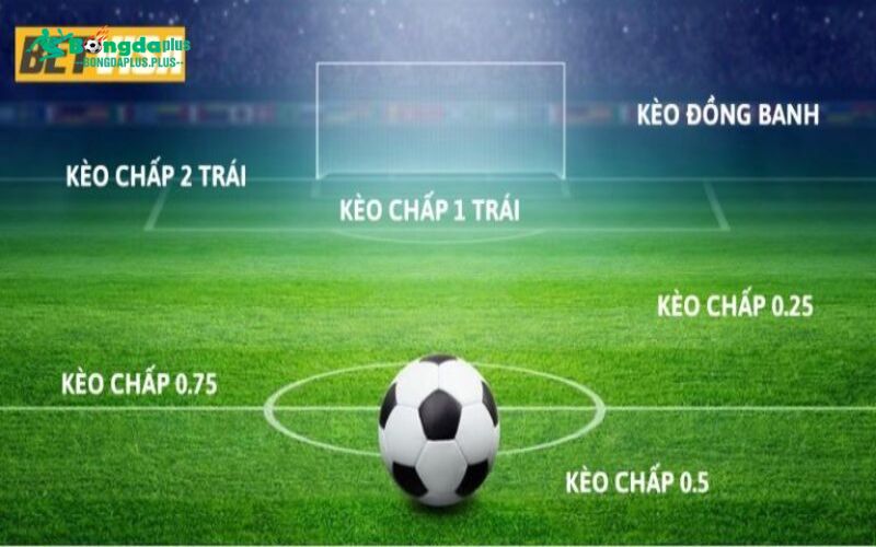 Betvisa Kèo Bóng Đá-Tìm Hiểu Và Chiến Thuật Đặt Cược Giới Thiệu Về Betvisa