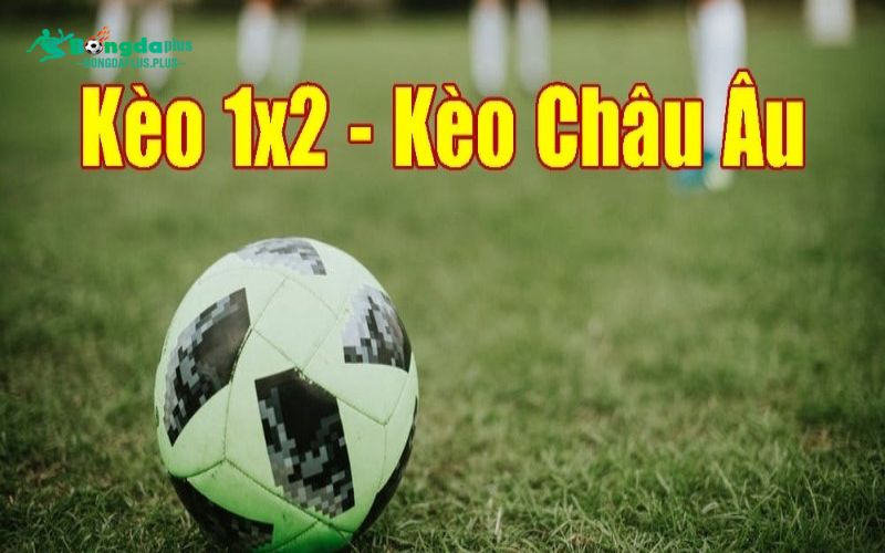 Thể Thao Thabet - Nền Tảng Cá Cược Trực Tuyến Đáng Tin Cậy Kèo 1x2 tại thể thao Thabet