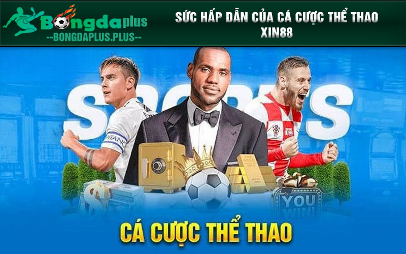 Cá Cược Thể Thao Xin88 Hốt Bạc Liền Tay Rinh Ngay Tiền Tỷ Sức hấp dẫn của cá cược thể thao Xin88