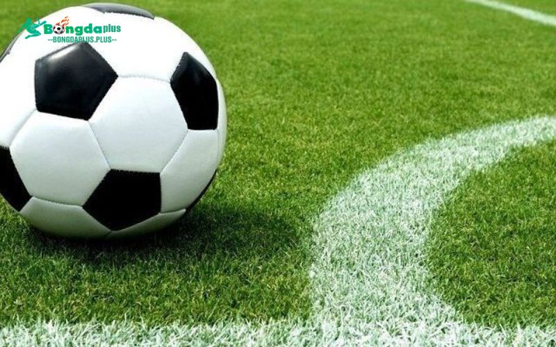 Khám Phá Kèo 2 1/4 - Cách Chơi Và Chiến Lược Cược Tại Thapcamtv Bật bí chiến lược đặt cược thông minh với kèo 2 1/4 tại ThapcamTV