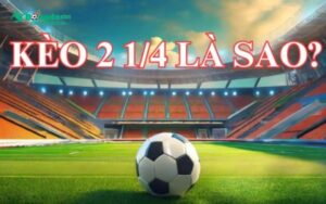 Tìm hiểu sơ qua về kèo 2 1/4
