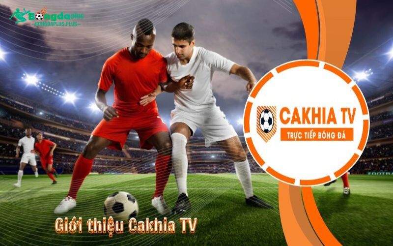 CakhiaTV - Trang Web Trực Tiếp Bóng Đá Nhanh Nhất Việt Nam Khám phá chi tiết về trang web thể thao CakhiaTV
