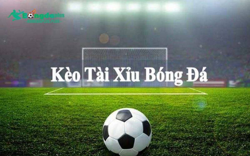 Giới thiệu về tài xỉu 1/2